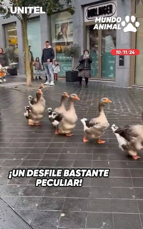 Social content