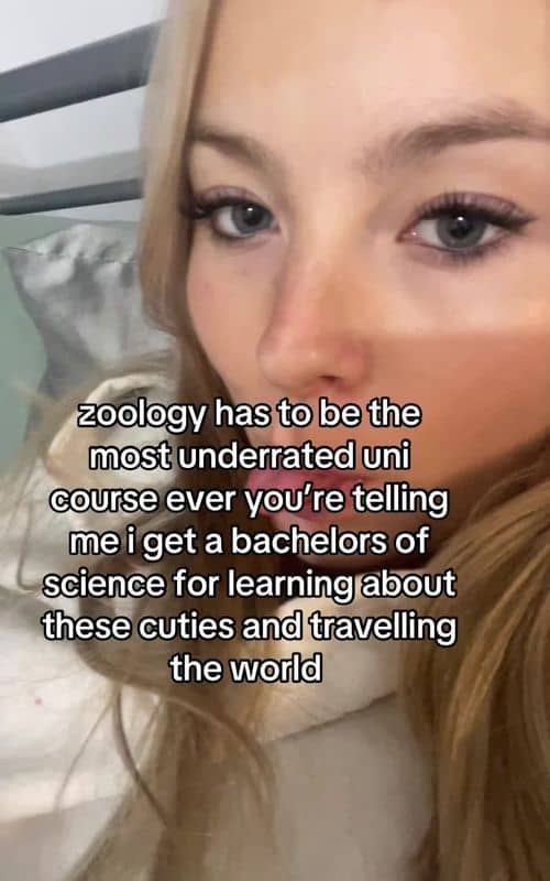 Social content