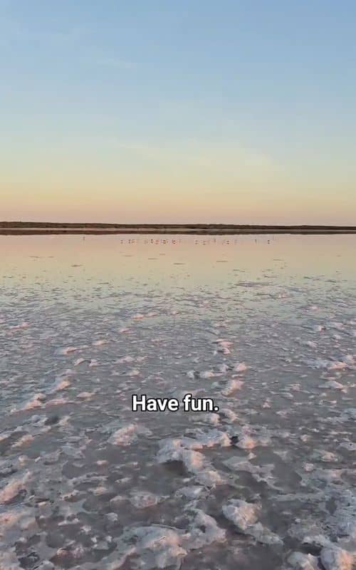 Social content