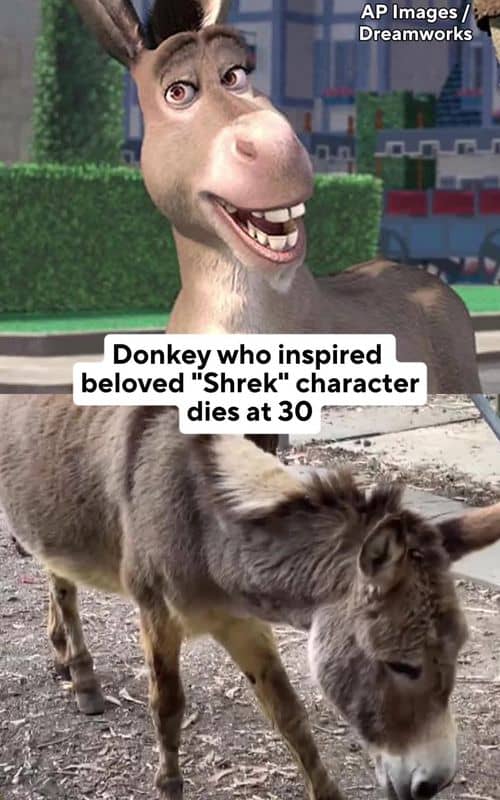 Social content