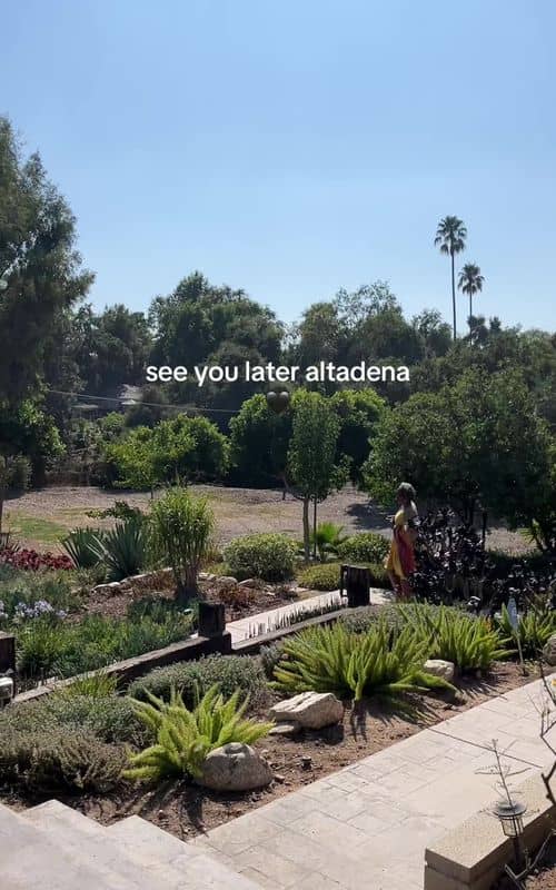 Social content