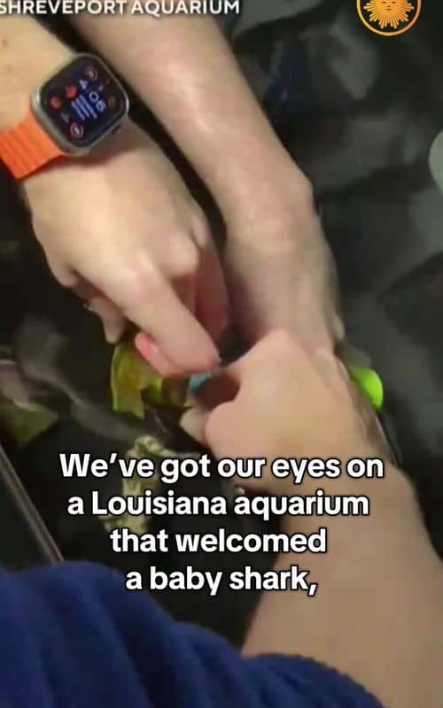 Social content