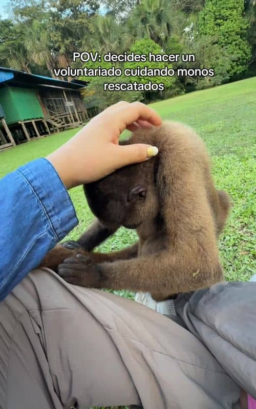 Social content