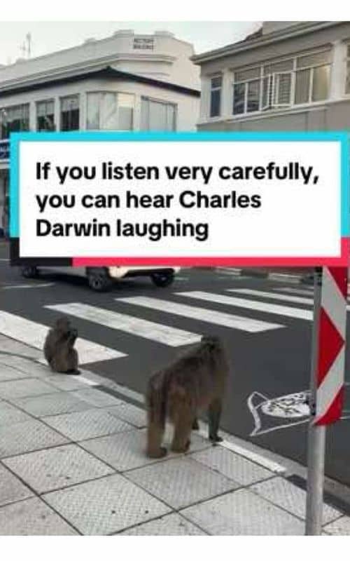 Social content