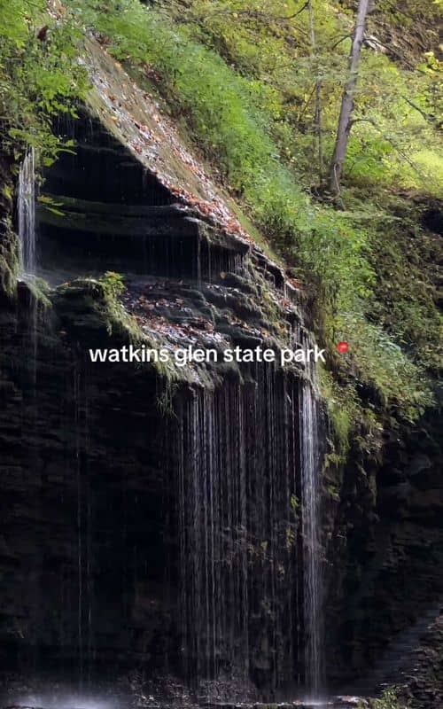 Social content