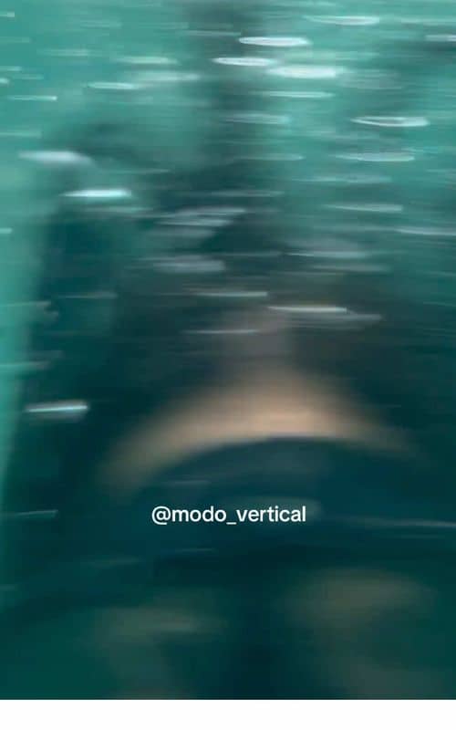 Social content