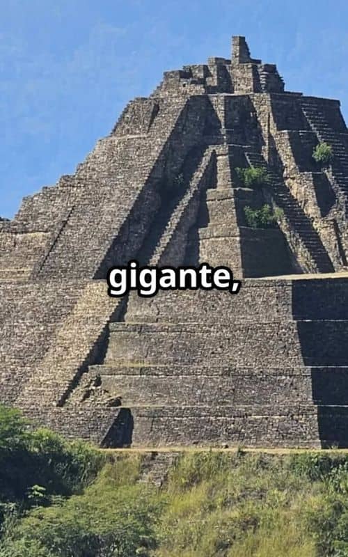 Social content