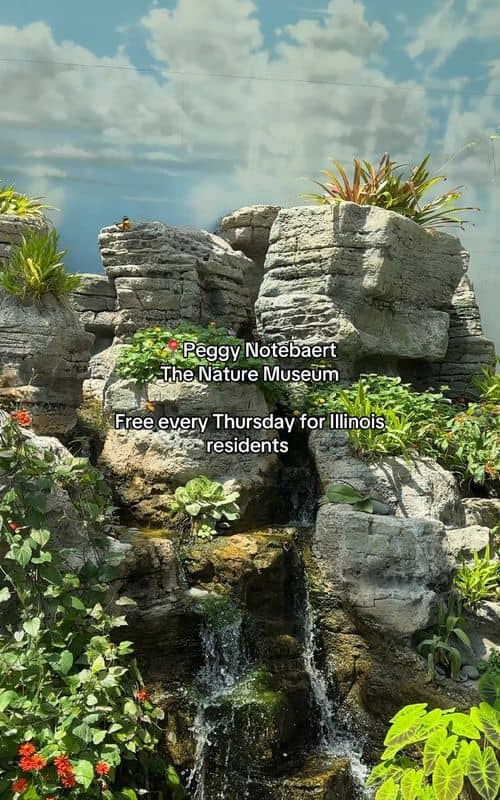 Social content