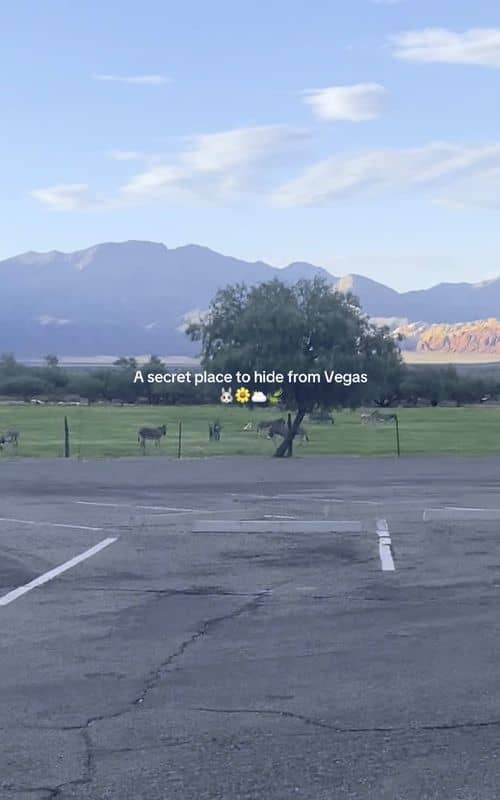 Social content