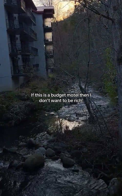 Social content