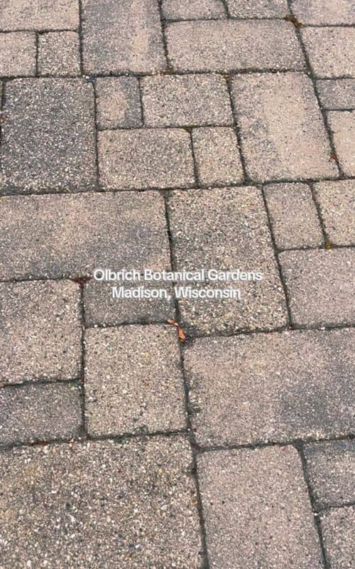 Social content