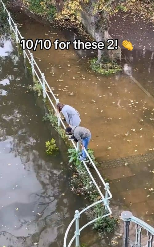 Social content