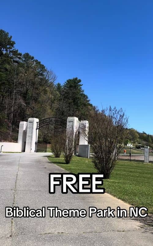 Social content