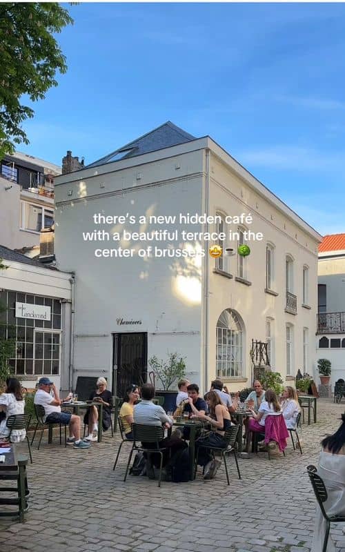 Social content