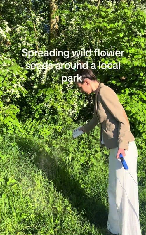 Social content