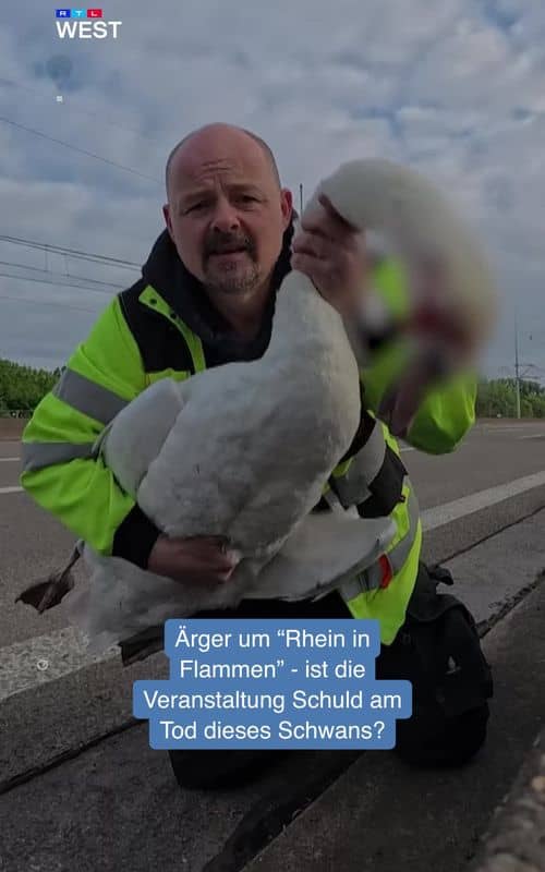 Social content
