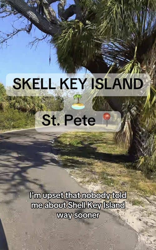 Social content