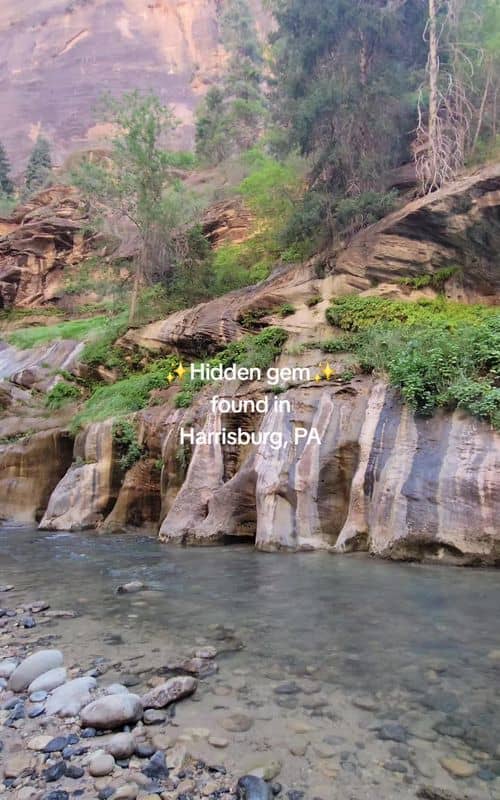 Social content