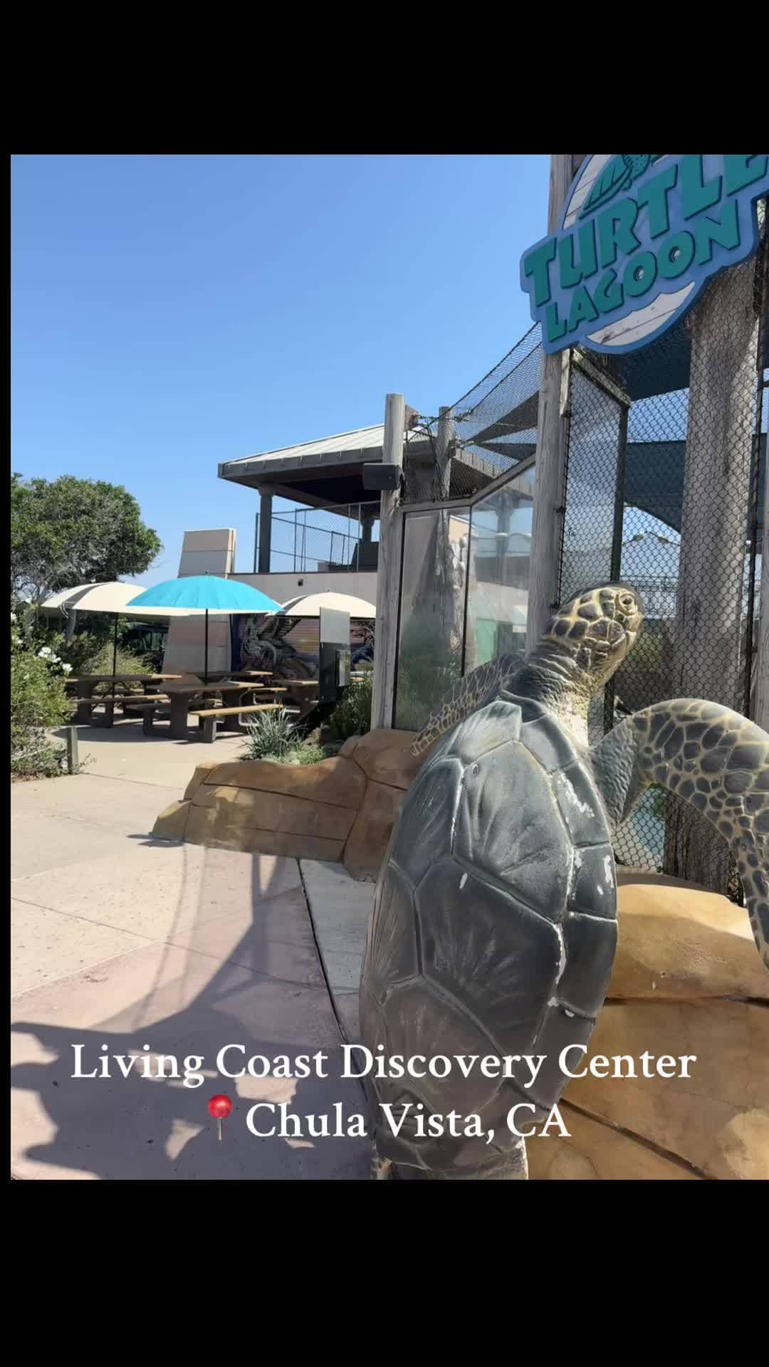Social content