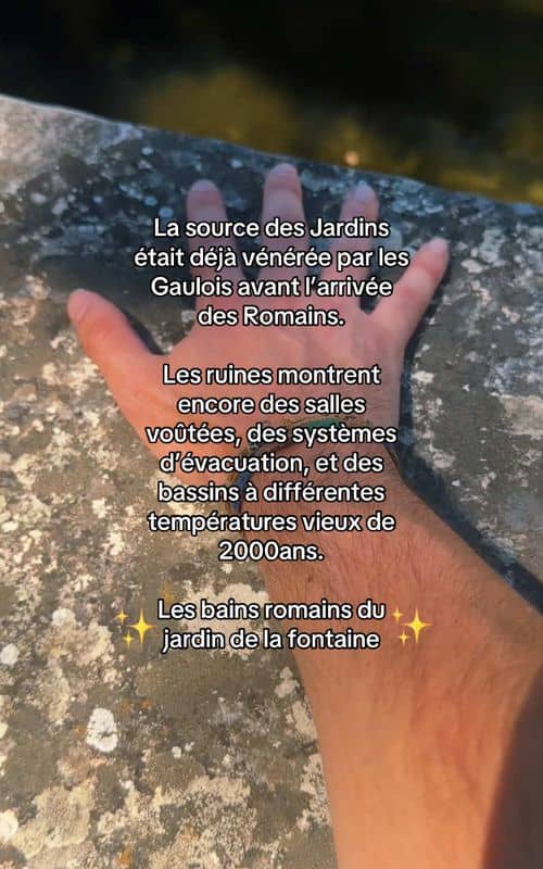 Social content