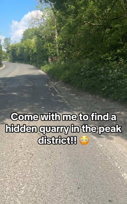 Social content