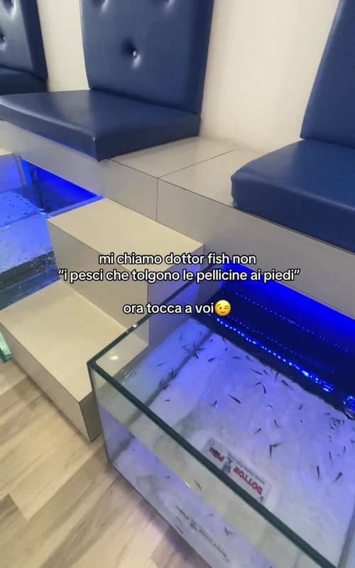 Social content
