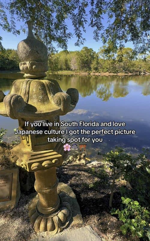 Social content