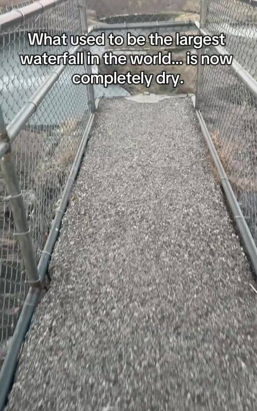 Social content