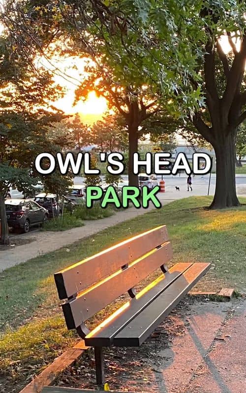 Social content