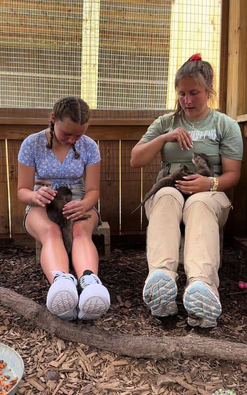 Social content