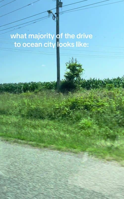 Social content