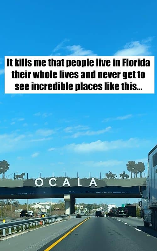 Social content