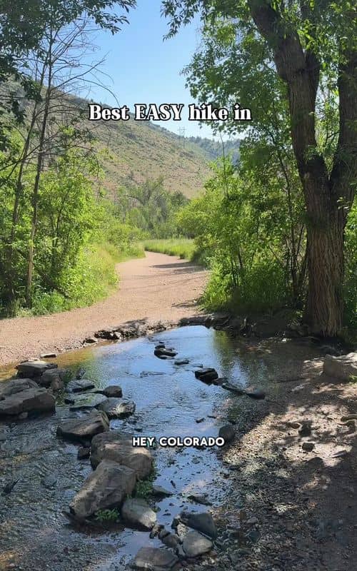 Social content