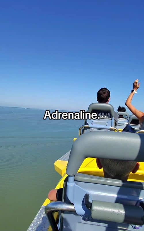Social content