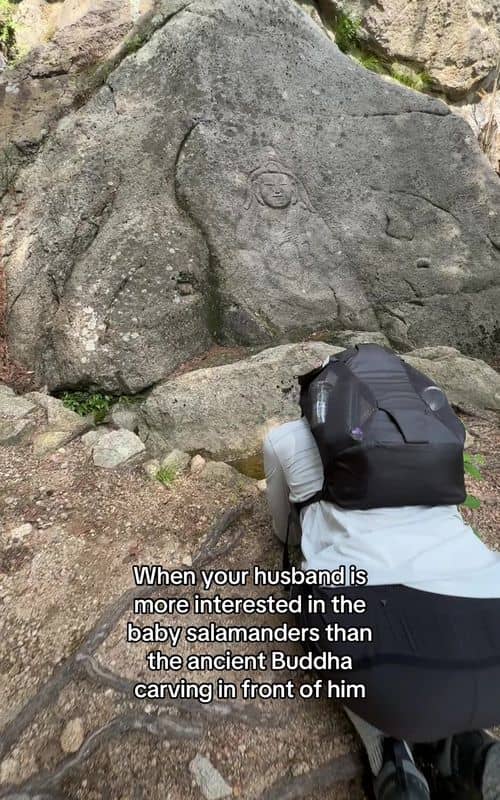 Social content