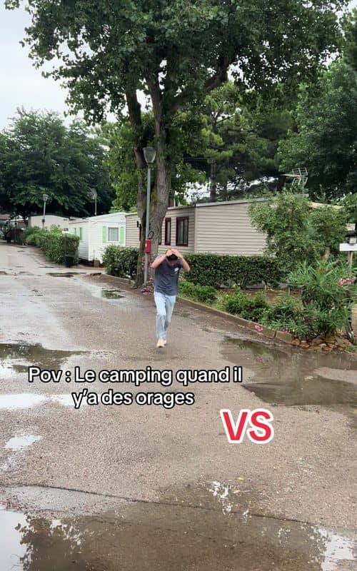 Social content