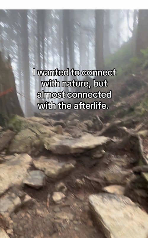 Social content