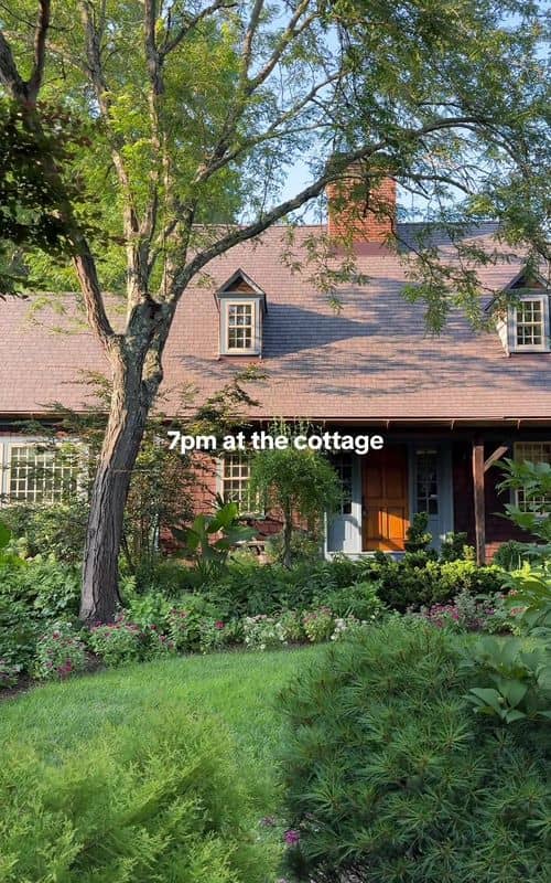 Social content