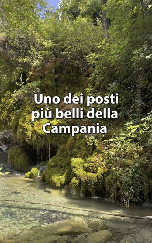 Social content