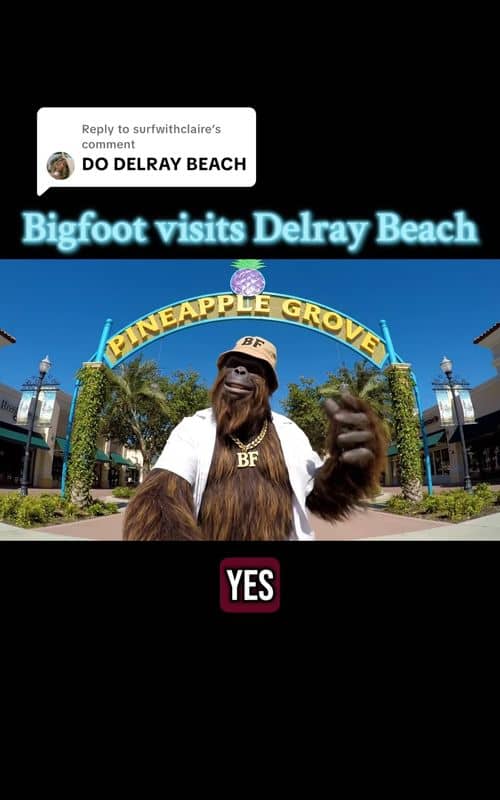 Social content