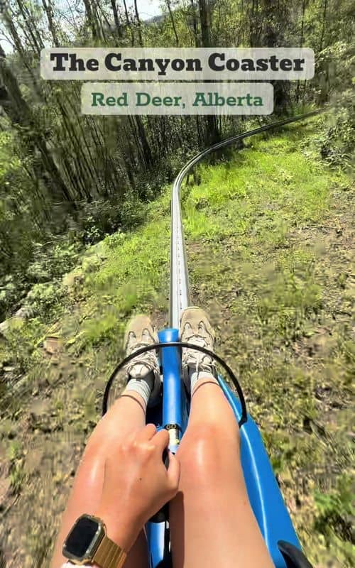 Social content