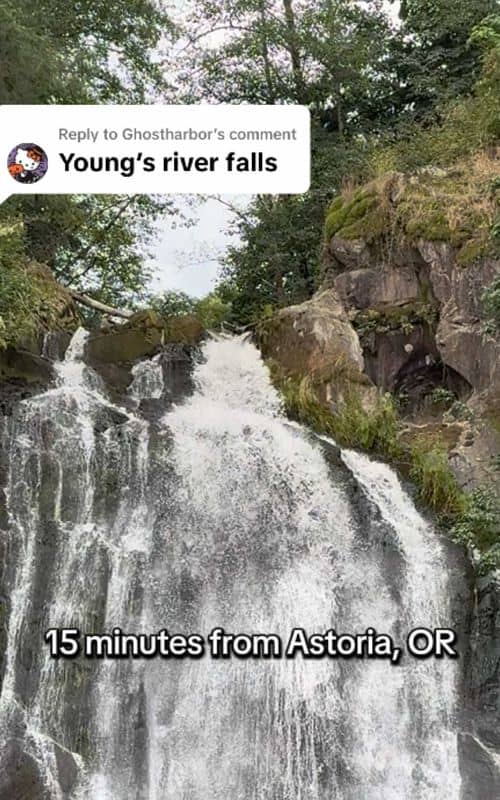 Social content