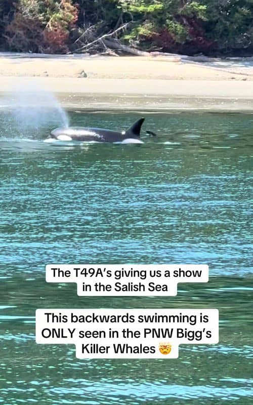 Social content
