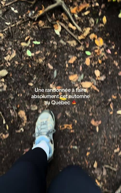 Social content