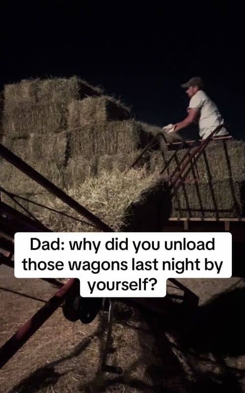 Social content