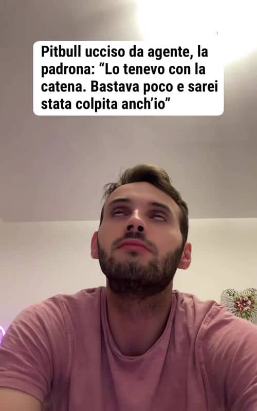Social content