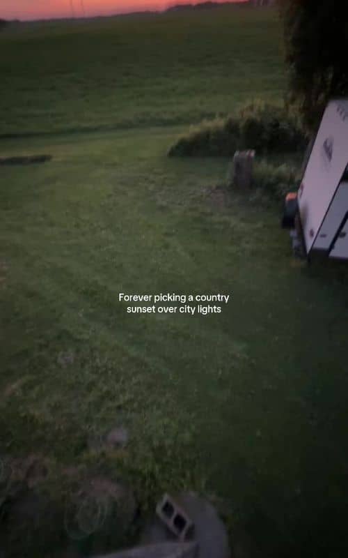Social content