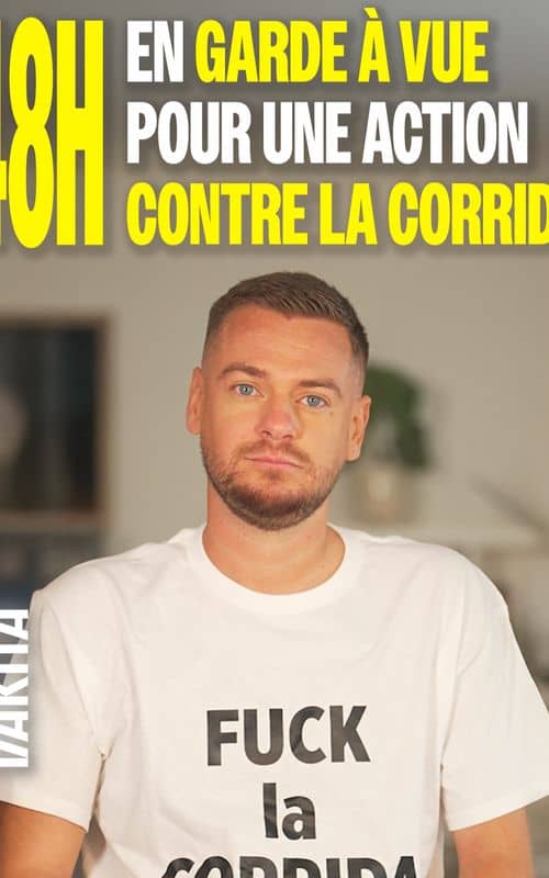 Social content