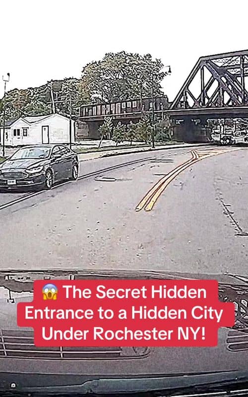 Social content