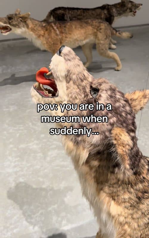 Social content